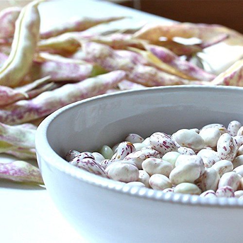 Organic Cranberry Beans by Food to Live (Dried Borlotti Beans, Non-GMO Seeds, Kosher, Raw Romano Beans in Bulk, Product of the USA) — 5 Pounds