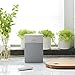 Bose 731396-1200 SoundTouch 10 Wireless Speaker, Works with Alexa, White