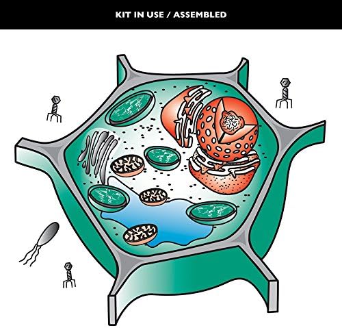 Speak Easies Cells Board Kit