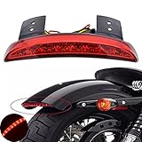 ANKIA Motorcycle Chopped Rear Fender Edge LED Brake