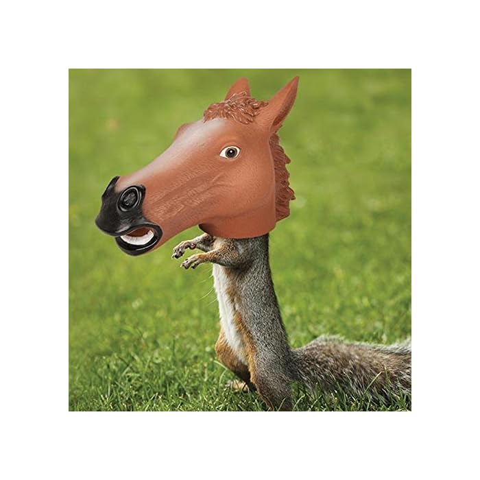 Accoutrements Horse Head Squirrel Feeder Usa Garden Care