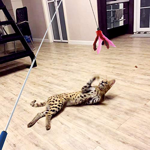 Cat Toys Feathers Wand, Interactive Cat Toy Kitten Toys 2 Retractable Cat Wand Toy and 7 Feather Teaser Refills with bells, Telescopic Cat Fishing Pole Toy for Indoor Bored Cats Gifts Exercise Pack