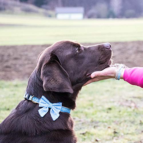 Pettsie Hundehalsband mit Fliege und Freundschaftsarmband, GröÃen S und M, Komfortables Designer Hanf, stark und langlebig, tolles Geschenk für Hundeliebhaber in attraktiven Verpackung, M, Blau – Bild 6