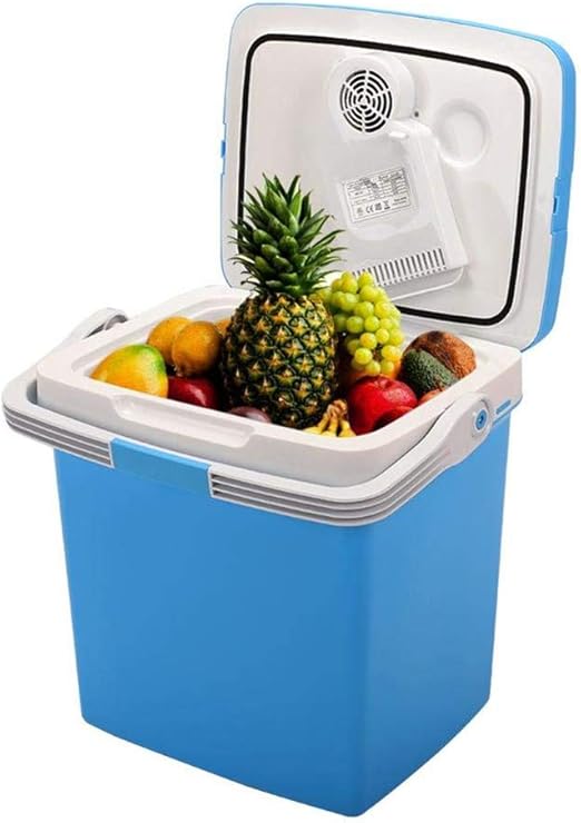 refrigerator for car amazon