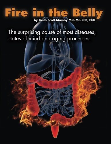 Fire In The Belly: The Surprising Cause of Most Diseases, States Of Mind and Aging Processes Fire In The Belly: The Surprising Cause of Most Diseases, States Of Mind and Aging Processes