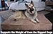 Barker Beds Large Orthopedic Dog Bed for Large Dogs - Premium 7