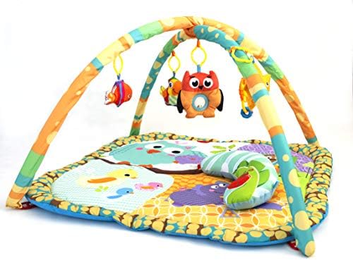 baby floor play gym