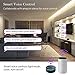 HitLights WiFi Wireless LED Controller, Alexa LED Strip Magic Home Controller – Compatible Google Home IFTTT, Working with BRG GRB 5 – 24V LED Strip Lights