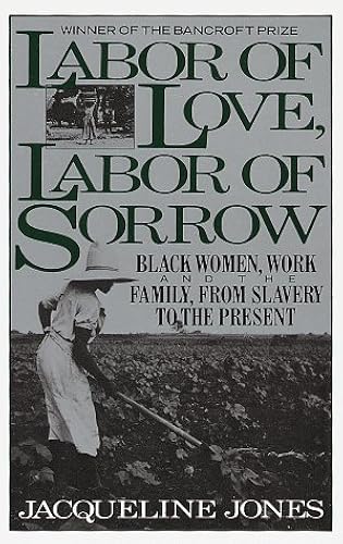 Download Labor of Love, Labor of Sorrow PDF