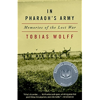 In Pharaoh's Army: Memories of the Lost War book cover