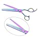 LILYS PET Professional PET DOG Grooming Coated Titanium scissors suit Cutting&Curved&Thinning shears (8.0 inches, Rainbow)…