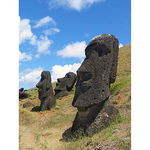 Aurbina Moai Stone Head Statues Easter Island Photograph Art Print Canvas Premium Wall Decor Poster Mural