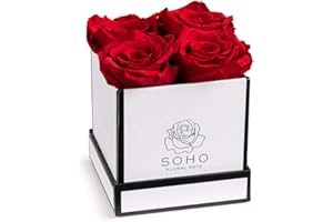 Soho Floral Arts | Roses in A Box | Genuine Roses that Last for Years (White Square 4ct, Red) | Mothers Day Gifts