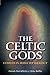 The Celtic Gods by Patrick McCafferty, Mike Baillie