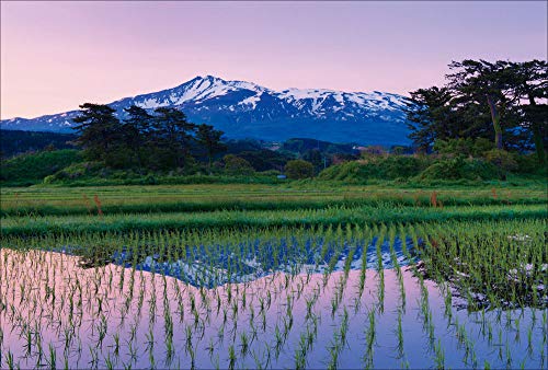 Amazon Co Jp 限定 売れ筋ランキング 象潟の水田より鳥海山を望む P3 147 ポストカード3枚セット