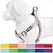 Blueberry Pet Essentials Step-in Dog Harness, Large Size | Adjustable Lavender Vest | Classic Solid Nylon for Boy & Girl Dogs, Chest Girth 26