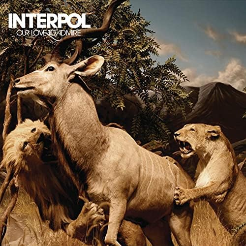 洋楽 Interpol Our Love To Admire CD Interpol - Our Love to Admire - Amazon.com Music