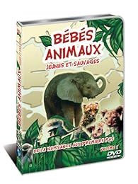 Bebes Animaux Vol.1