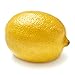 Lemon, One Medium primary