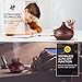 VicTsing 300ml Essential Oil Diffuser, Wood Grain Ultrasonic Aroma Cool Mist Humidifier for Office Home Bedroom Baby Room Study Yoga Spa (Brown)