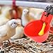 Chicken Drinker Cups 10Pcs Automatic Drinkers Waterers Red Plastic Backyards Duck Bird Quail Pigeon Hen Water Feeder Bowl(C)thumb 2