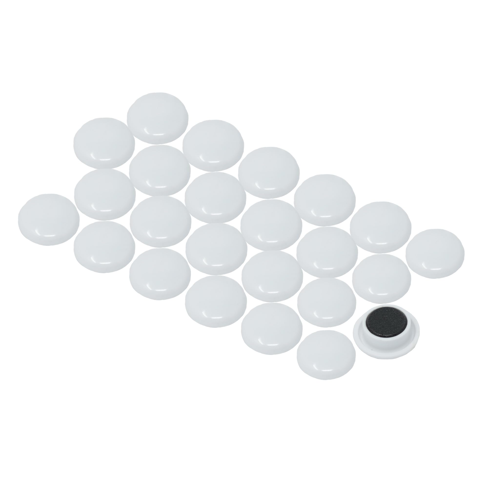 MAGNET Expert Ltd 30 x 8mm Medium Notice Board/Planning Magnets for Office and Fridge - White (Pack of 12)