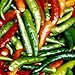 300 ANAHEIM CHILI PEPPER (New Mexico Chili Pepper) Capsicum Annuum Vegetable Seeds