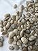 Decorative Pebbles River Rocks 40lbs. (Small, Nature)