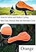 Netmetoo Sport Bike Seat Cushion Cover Non Slip Mountain Bike Road Bike MTB Cyclingthumb 3