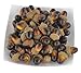 JEDFORE Simulation Artificial Lifelike Fruit Nutty-Brown Acorns for Fall Table Scatter Crafting, Drawing,Home House Kitchen and Autumn Decoration 60PCS Set