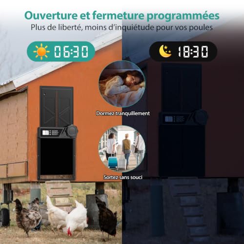 Porte Poulailler Automatique Grande à Piles en Aluminium | Minuterie, Fonction Anti-pincement, Écran LCD Étanche, Pour Poules, Canards