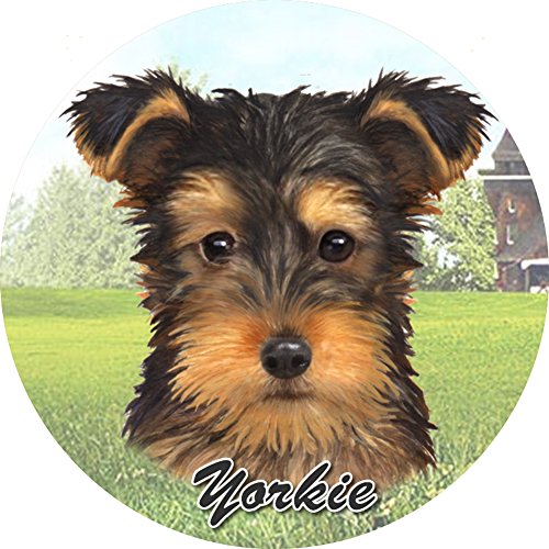 E&S Pets Puppy Cut Yorkie Coaster, 3