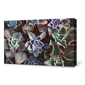 Canvas Wall Art Canvas Painting Wall Poster Decor for Living Room Framed Home Decorations - 12x18 inches