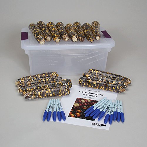Carolina Biokits: Corn Dihybrid Genetics