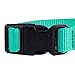 Blueberry Pet Essentials X-Small Dog Collar in Emerald | Adjustable & Eco-Friendly Durable Nylon Strap | Classic Collar for X-Small Dogs, Boy & Girl Pets
