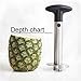 Premium Pineapple Corer Cutter Slicer and Peeler, Industrial grade stainless steel 3 in 1 Tool, Ideal Gift, comes with FREE pineapple recipe ebook, EXCLUSIVELY distributed ONLY by Gesalt