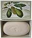 Saponificio Artigianale Fiorentino Single Fresh Avocado Soap Bar 10.5 Oz. From Italy