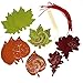 JOYIN 40 Pieces of Assorted Thanksgiving Turkey Scratch Off Card Color Magic Scratch Off Paper DIY Arts and Crafts Magic Color Maple Leaves Scratching Card with Wooden Stylus