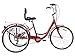 Slsy Adult Tricycles 7 Speed, Adult Trikes 24/26 inch 3 Wheel Bikes, Three-Wheeled Bicycles Cruise Trike with Shopping Basket for Seniors, Women, Men. (Tango Red, 26″ Wheels/ 7-Speed)thumb 1