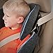 Evenflo Maestro Booster Car Seat, Wesley