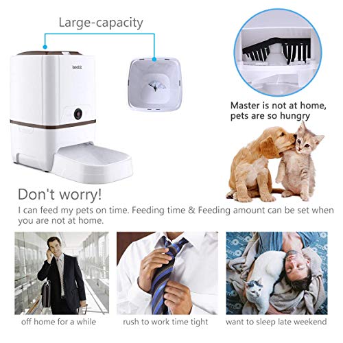 Automatic Cat Feeder Pet Feeder 6L Automatic Dog Feeder Food