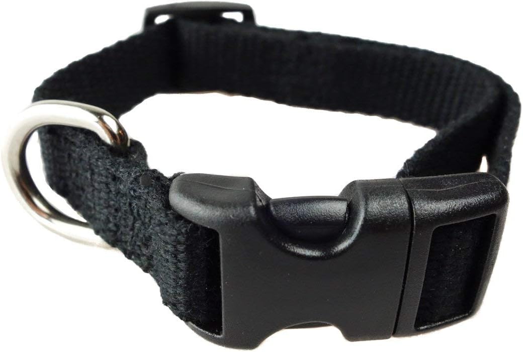 dog adoption near ne