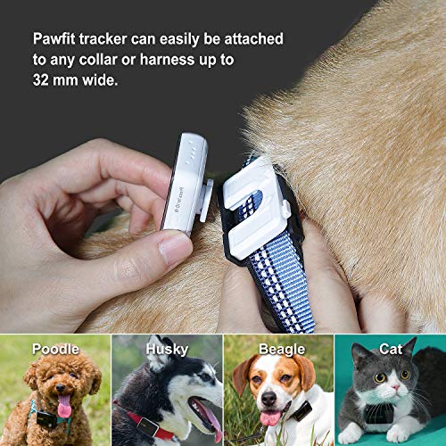 Pet GPS Tracker and Activity Monitor, Pawfit Ultra Lightweight