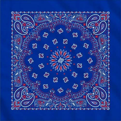 Amazon.com: Hav-A-Hank Charcoal Paisley Bandanna, 22x22, Made in
