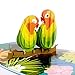 Liif Love Birds 3D Pop Up Anniversary Card for Wife, Husband, Couple, Valentines Day Card