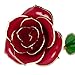 PREUP Love Forever Beautiful Long Stem Gold Foil Trim Red Rose Flower Best Gift (Red)