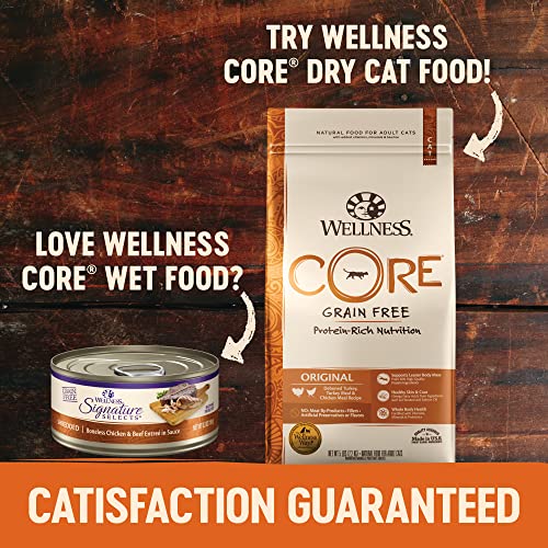 Wellness CORE GrainFree Signature Selects Wet Cat Food, Natural Pet Food Made with Real Meat
