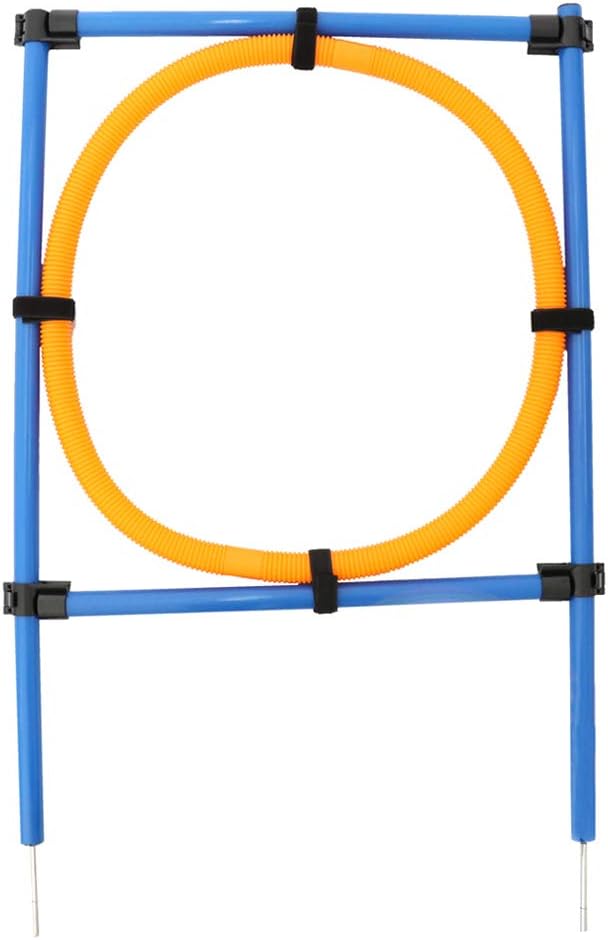 attrezzatura di agilità per i salti dei cani