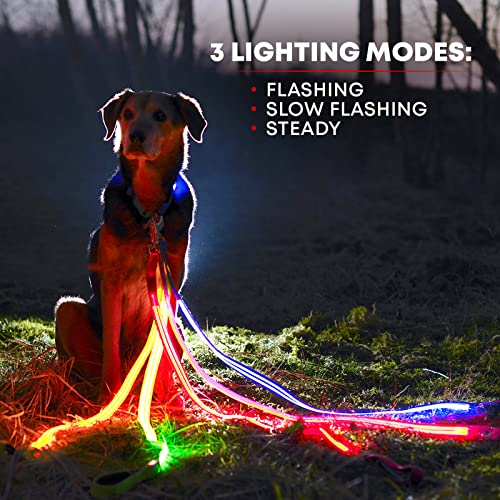 ILLUMISEEN LED Light Up Dog Leash Ultra High Visibility Up to 350
