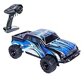 PLRB All Terrain RC Cars, 4x4 Off Road RC Trucks 18 MPH High Speed Racer 1:24 Scale Electric Remote Control Truck(7.9inch)-RC Truggy Shell RC Car for Kids, X-Drive Blue
